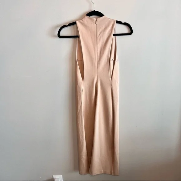 Aritzia Babaton Matheson Sleeveless Bodycon Dress 4 - Picture 4 of 10